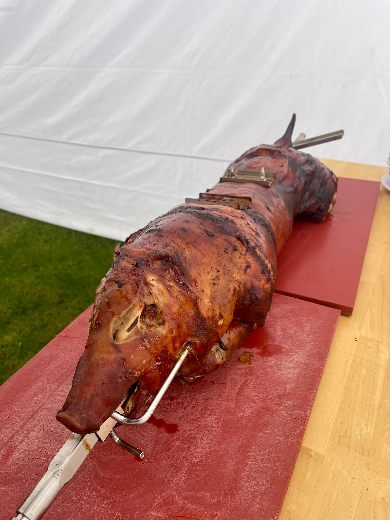 Fresh meats are displayed in a deli case.